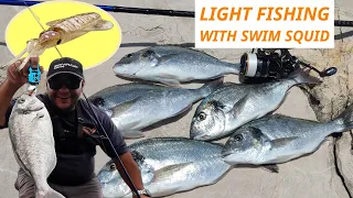Rockbound Light Tackle Adventures #18: I found sea breams and tested the Swim Squid LRF! 💣💥🔥