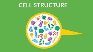 Cell Structure and Function || What is cell and its functions