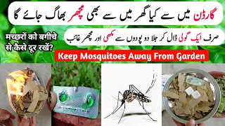 Mosquito Killer Homemade | Keep Mosquitoes Away From Yard - Home Gardening Tips