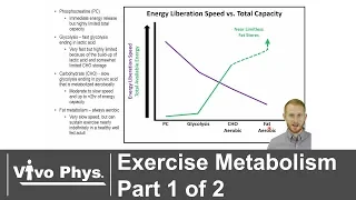 Exercise Metabolism Part 1 of 2 - Energy Systems (UPDATED VERSION IN DESCRIPTION)
