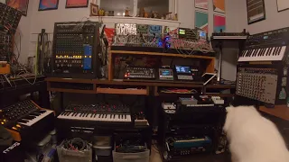 Polyend Tracker, Sequential Take 5, Moog Subsequent 25, Korg OpSix