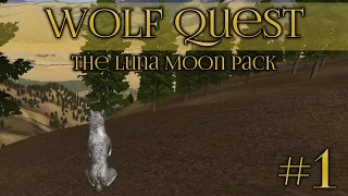 Wolf Quest 🐺 Learning To Hunt - Episode #1