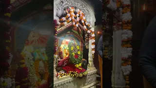 Mata Kashi Vishalakshi - Vigreh Darshan #kashi #vishalakshi #kashivishwanath #dasmahavidya