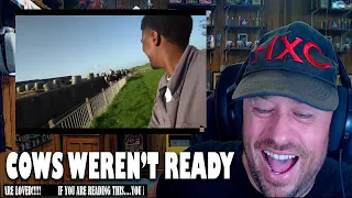American Experiences A Dutch Farmer's Day In The Life! REACTION!