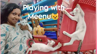 Playing with Meenu, our pet! Playful cat😺 // Pallavi Vlogs
