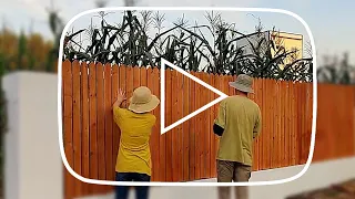 Clearing weeds, the couple renovate old abandoned house in the countryside and build peaceful garden