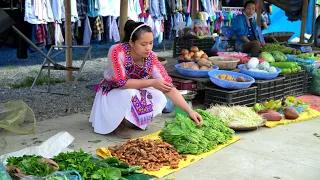 FULL VIDEO: 320 Days Build Life | Agricultural Harvest Goes to the market sell goods | Lý Thị Ca