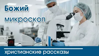 Детский христианский рассказ Божий микроскоп