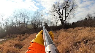 December Pheasant Hunt with GSP