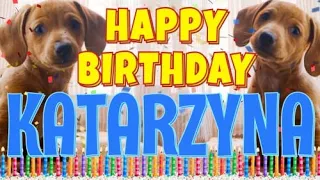 Happy Birthday Katarzyna! ( Funny Talking Dogs ) What Is Free On My Birthday