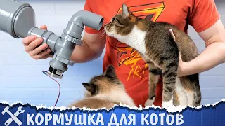 🐈Автоматическая кормушка для котов v2