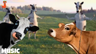 FUNNY COW DANCE 4│ Cow Song & Cow Videos 2024 | Cow dance mix | funny dancing cow