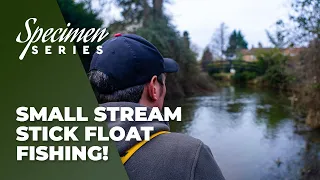 Small Stream Stick Float Fishing!