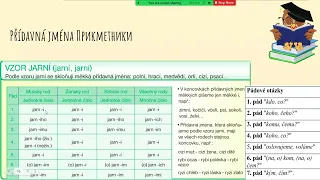 Безкоштовний курс чеської мови - тема - Прикметимки