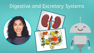 Digestive and Excretory Systems - Biology for Teens!