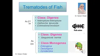 Trematodes 3. Fish Trematodes