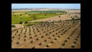 meu alentejo sagrado.wmv