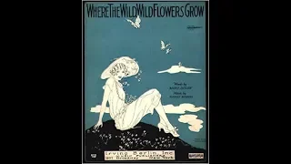 Lee Morse - Where The Wild Wild Flowers Grow 1927 Harry M. Woods "I'm Far Away From Everyone I Love"