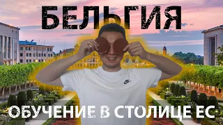 Обучение в Бельгии