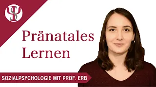 Pränatales Lernen | Psychologie mit Prof. Erb