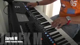 Korg Style Radio / Lian Ross / Say You'll Never / cover / Jarek M