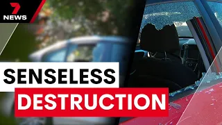 17 cars seriously damaged in Annerley in an early morning attack | 7 News Australia