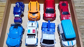 3 Minutes ASMR Robot Transformers | Transforming Transformers Robots into Transformers Cars | ASMR