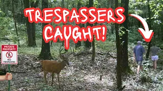 Trespassers CAUGHT On Camera! | Big Bucks In VELVET | MUST SEE!!! | Trail Camera Videos