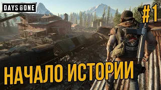 DAYS GONE - ЖИЗНЬ ПОСЛЕ - ПОСЛЕДНИЙ ГОДНЫЙ ЭКСКЛЮЗИВ SONY PS4 ПРОХОЖДЕНИЕ #1