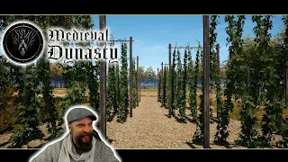 Medieval Dynasty deutsch 🌳 S2E057: Hopfenernte! Frühschoppen in Sediliasruhe!