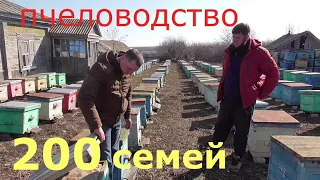 200 СЕМЕЙ / ПЧЕЛОВОДСТВО В УЛЬЯХ / ЛЕГКО И ПРОСТО.