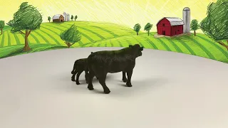 Angus Cow & Calf | Farm & Ranch Toys | Big Country Toys