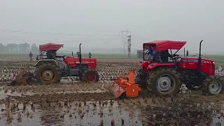 Massey 254 4WD Dynasmart. and Swaraj 855-4WD #tractordemo #video #agriculture #puddling