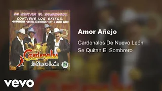 Cardenales De Nuevo León - Amor Añejo (Audio)