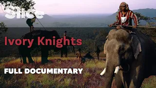 Ivory Knights | SLICE l Full documentary