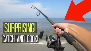 Surf Fishing on the Beach! CATCH AND COOK!! (Surprising!)