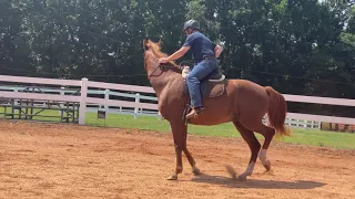 Getting my distracted horse to focus on me - Aaron Jul 31, 2020, with Audio comments