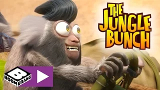 The Jungle Bunch | Finish Line | Boomerang UK