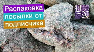 Посылка от подписчика. Распаковка содержимого посылки №2.