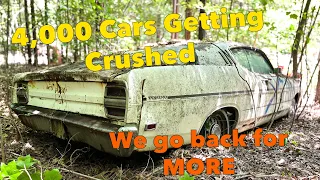 4000 antique cars getting crushed! We go back to save more!