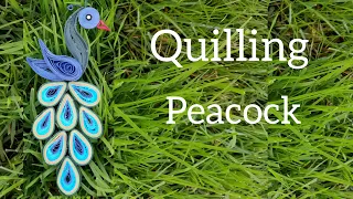 Paper Quilling Peacock | DIY Peacock | Easy Quilled Peacock