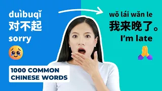 Beginner Chinese Vocabulary (20 Words 40 Sentences) Lesson 01