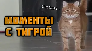 МОМЕНТЫ С ТИГРОЙ