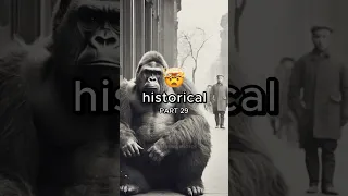 MUST SEE HISTORICAL PHOTOS! PART 29