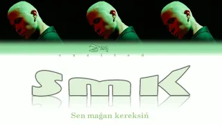 ZAQ  -  SMK (SEN MAǴAN KEREKSIŃ) [сөзі, текст+latyn lyrics]  КАРАОКЕ!