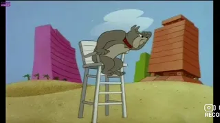 Tom e Jerry Comedy Show