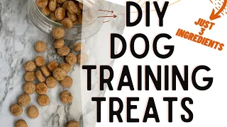 Homemade Dog Training Treat Recipe | Easy 3 Ingredient Dog Treats