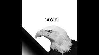 VHS - Eagle (Audio)