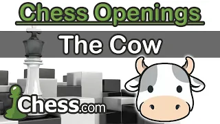 New Chess Opening: The Cow!!