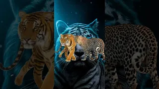 Tiger vs random animals who is strongest 😈🥶 watch till end 👹#short#edit#strongest#animals